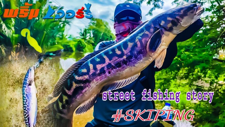 นั่งรอน้ำขึ้นเกือบครึ่งวันกว่าจะได้ตัว #fish #fishing