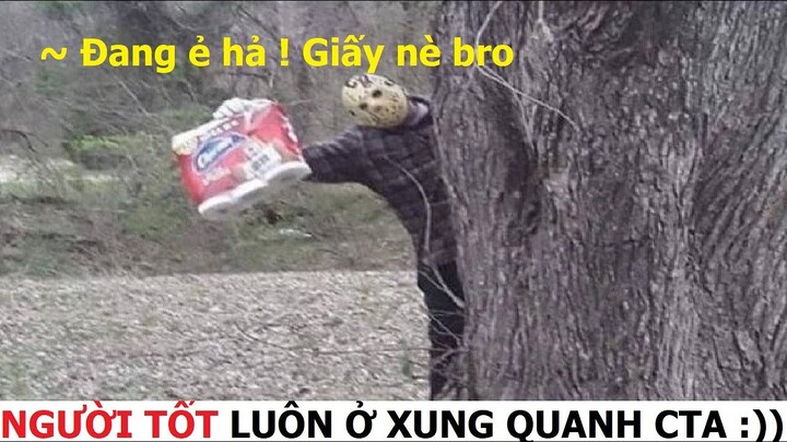 [ Dương Luật Official ]Những đứa con thất lạc của thần biển #73| 😂😂