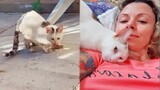 Woman Rescues Cat That Was Discovered In An Out-Of-Control Feline Colony - Save A Cat
