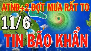 Dự báo thời tiết hôm nay và ngày mai 11/6/2024 | Dự báo thời tiết đêm nay mới nhất