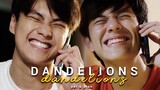 +1x12 แพท & ปราณ Dandelions (FMV) BL