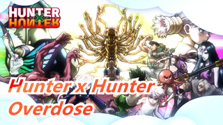 Hunter x Hunter - Overdose