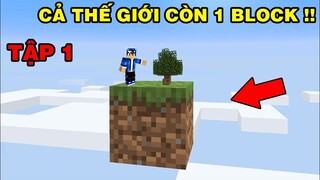 Mình Đã Sinh Tồn Trong | Thế Giới Còn 1 Block Khởi Đầu Tập 1 | TRONG MINECRAFT PE..!!