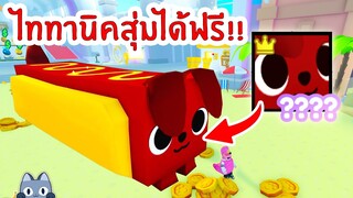 ไทาทานิคสุ่มได้ฟรี !! | Roblox Pet Simulator X 🐾