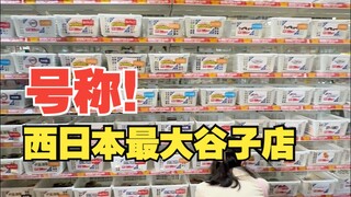 号称西日本最大谷子店？关店后虚晃一枪！