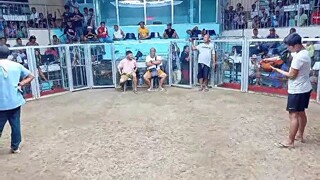 win unscratch
