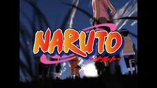 Naruto Episode 176