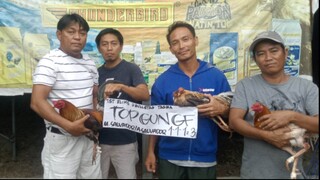 Fight 3 - Choco (8 Bullstag TAGBA 2023 Elimination - Champion )