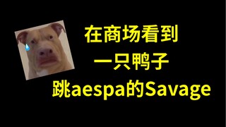 逛商场看到一只鸭子在跳aespa的Savage...