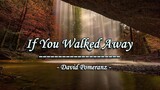 If You Walked Away - David Pomeranz ( KARAOKE )
