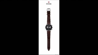 Tudor Reverse Panda Unboxing & Review!