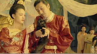 Cảm ơn những người đóng góp cho văn hóa Trung Quốc! Bình luận hoạt hình siêu phẩm Trung Quốc "Assass