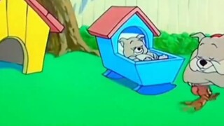 Tom dan Jerry menjadi kenyataan hahahaha