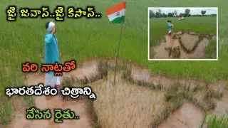 Farmer Done Innovative Paddy Art On Independence Day | Independence Art By Farmer | Shiva Agriclinic