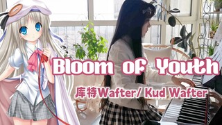 【钢琴】Bloom of Youth | 库特Wafter！依旧风华正茂