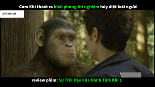 Tóm Tắt Sự tấn khỉ 5 #phimcat