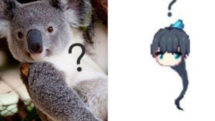 【Ji Yeqing】What did the tadpole koala say?