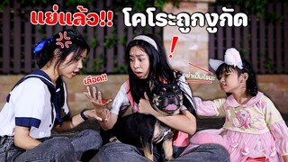 เพื่อนซี้ สี่ขา เพื่อนกันตลอดไป.. หนังสั้น น้องวีว่า พี่วาวาว l WiwaWawow TV