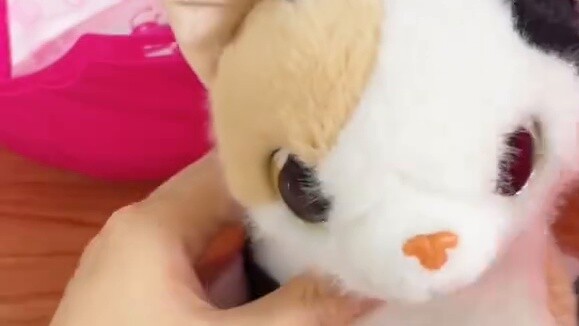 Zuru super cute woolen cat blind box