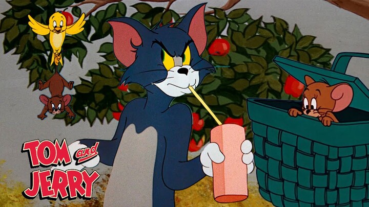 Tom & Jerry | Springtime Chasing | @GenerationWB