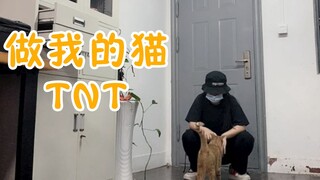 【时代少年团】半小时速扒TNT-做我的猫/舞蹈教程预告\严浩翔\贺峻霖