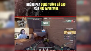 Pro Main Sage có khác. Sợ luôn