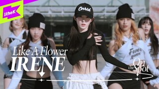 【4K】裴珠泫Solo出道曲《Like A Flower》舞蹈版