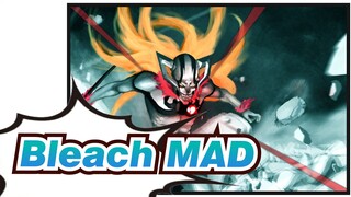 [Bleach] Constantly Echoing, The Flurry Of Melody!