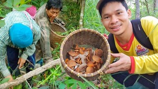 ข้าวจี่ทาไข่ตอนเช้าๆ พ่อ แม่ ลูก 3คน ไปเก็บเห็ดเทิงภู  มื่อนี้หมานๆ ลุ้นๆ