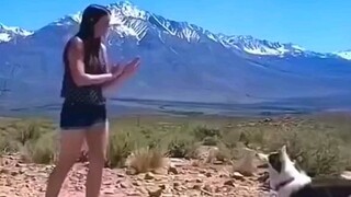 GK cuma orang yg bisa diajarin, anjing jg bisa 🗿👌