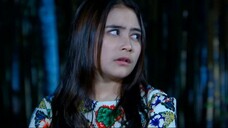 344 Ganteng-Ganteng Serigala