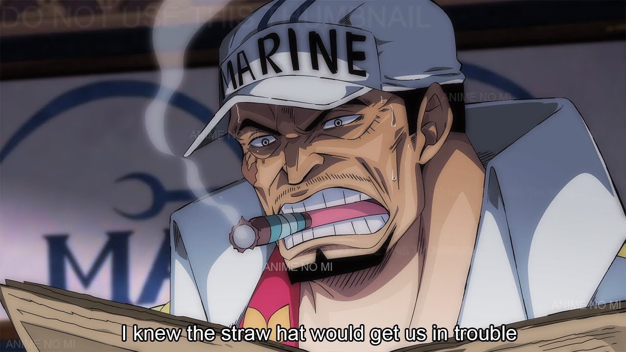 Akainu S Reaction After Finding Out Luffy Defeated Kaido And Became More Powerful One Piece Bilibili