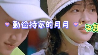 [Shen Yue's Wild Boar Family] A shell costs 129 yuan, which makes Shen Yue feel heartbroken