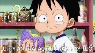 [One Piece Quiz #2] - Luffy ăn trái ác quỷ năm mấy tuổi ??? | Moon Toy Station