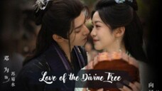 🌺Love.of.the.divine.tree EP01🌺