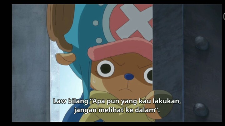 Momet lucu Chopper 😅