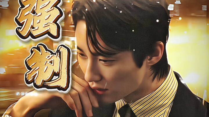 《黑帮大佬边佑锡和我的365日》