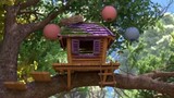 OiTV (Australian Feed) - Tree House