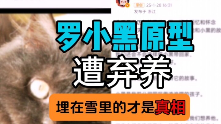 罗小黑原型遭遇弃养！真相澄清！！！