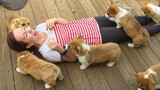 10 Minutes of Adorable Puppies 🐶