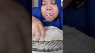 DYMA |ASMR RAW RICE EATING |Makan Beras | asmrrawriceeating| #asmrsounds  #asmr #shorts #mukbang(1)