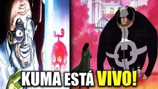 El PLAN De VEGAPUNK | La VERDAD De KUMA! - One Piece Teoría - Sir Crocodile