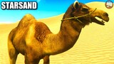 Taming A Camel | Starsand | Part 4