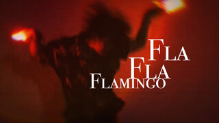 【wota艺】Flamingo