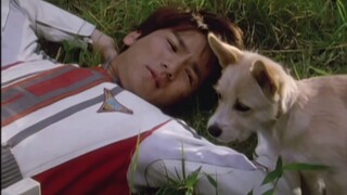 After so many years, do you still remember the puppy in Ultraman Tiga?