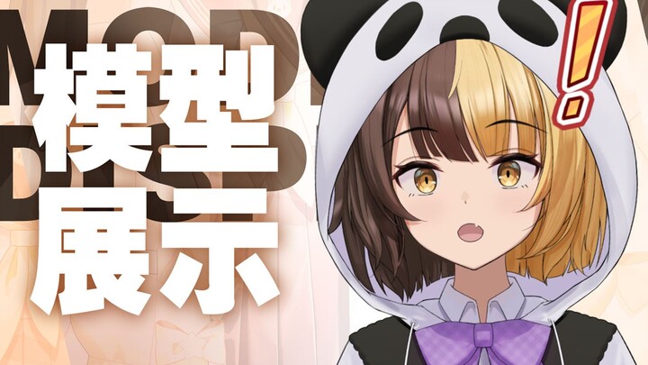 在这放一只可爱的三花（熊）猫