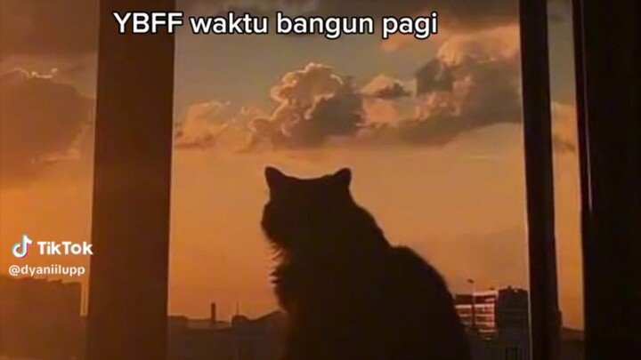 YBFF waktu bangun pagi