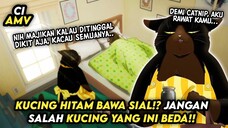 Dikira Mahir Segala hal, Cewek ini nyatanya dibantu sama Kucing!?...