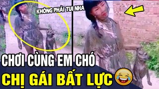 Tổng Hợp Những Tình Huống 'HÀI ĐỘNG VẬT ' Đảm Bảo KHÔNG CƯỜI KHÔNG LẤY TIỀN P263 | Trùm Tin Hài