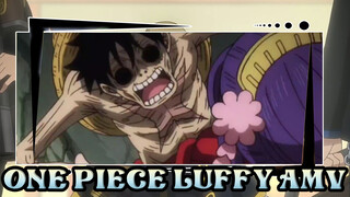 Luffy- Seimei Kikan